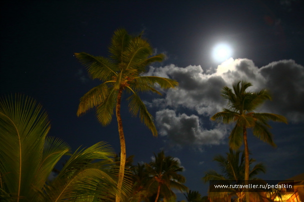 photo 401551