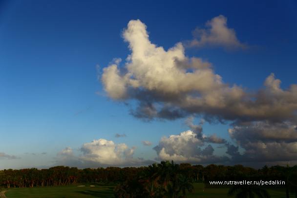 photo 401570