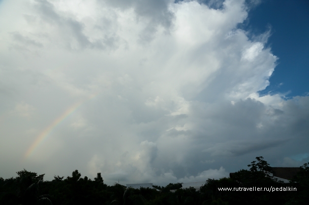 photo 910684