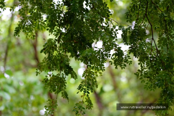 photo 910714