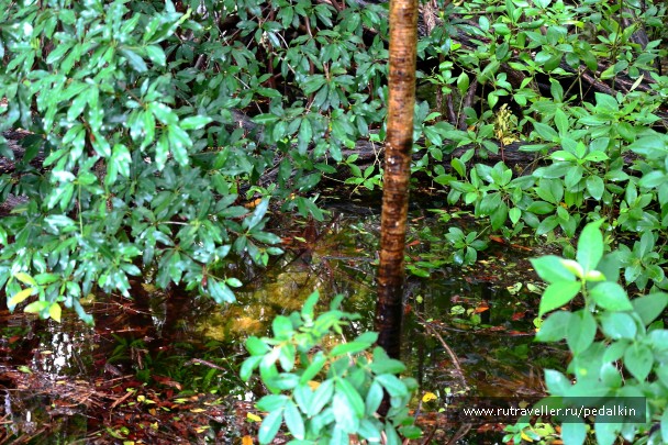 photo 910718