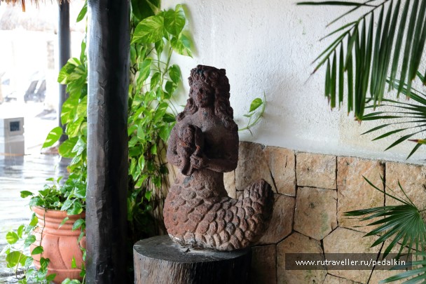 photo 910723