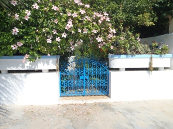 photo 848145