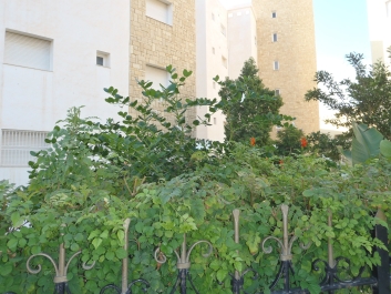 photo 848149