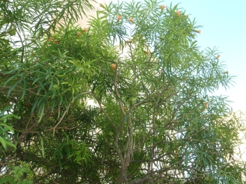 photo 848150