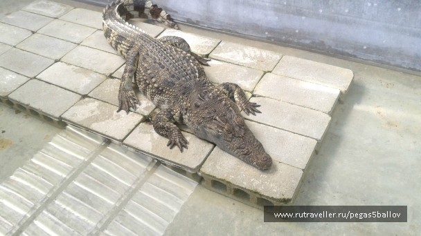 photo 937558