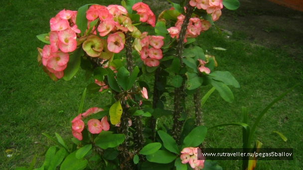photo 937563