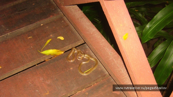 photo 937580