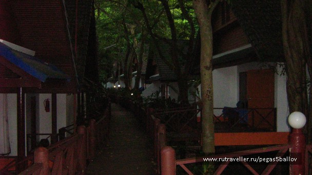 photo 937582