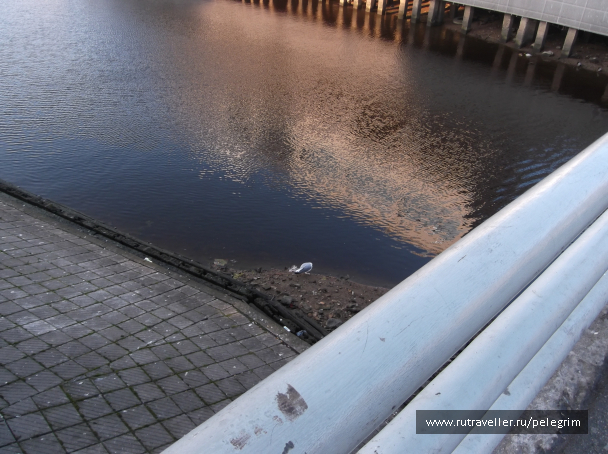 photo 1135528