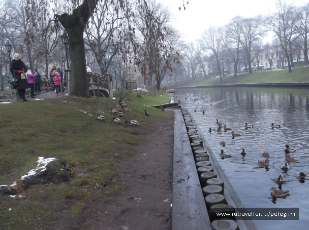 photo 1135536
