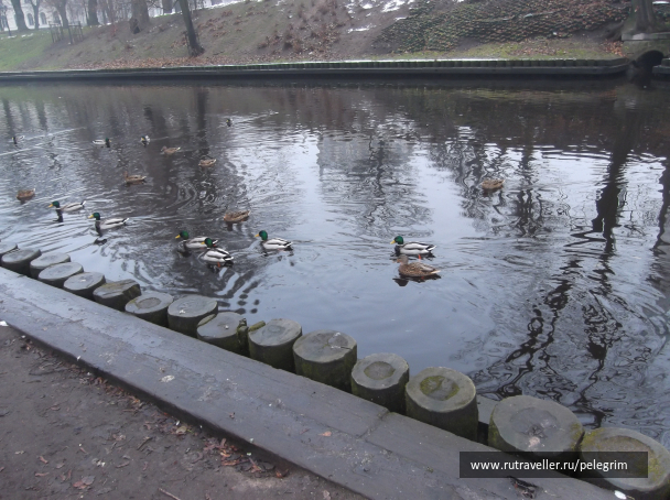 photo 1135537