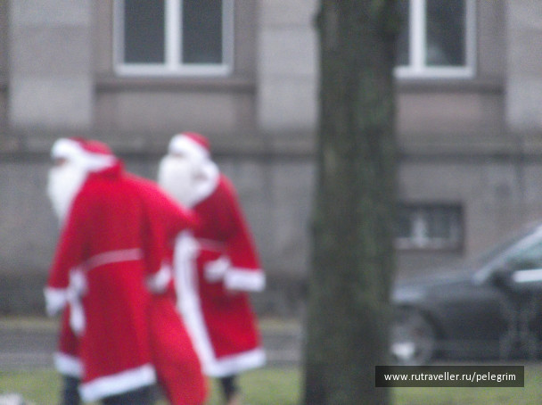 photo 1135538