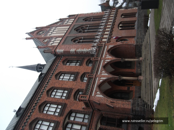 photo 1135550