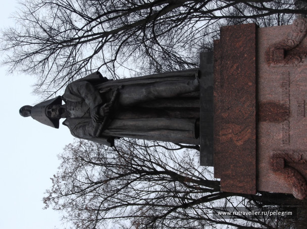 photo 1135558
