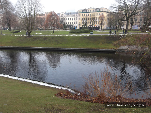 photo 1135567