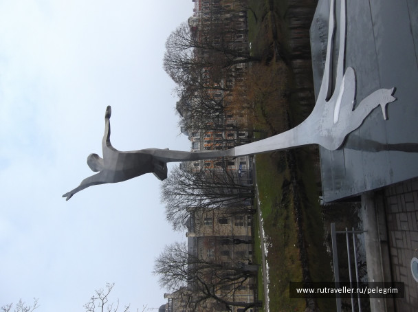 photo 1135568