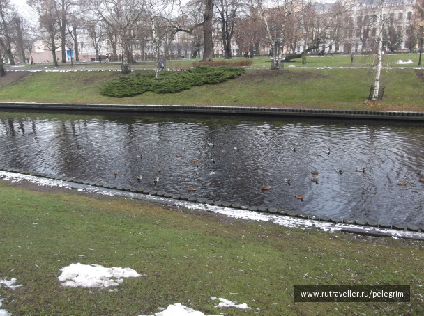photo 1135577