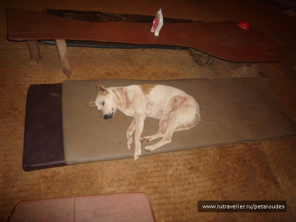 photo 54679