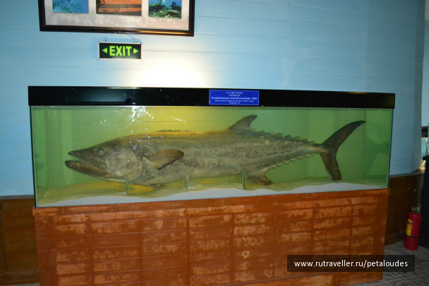 photo 348652