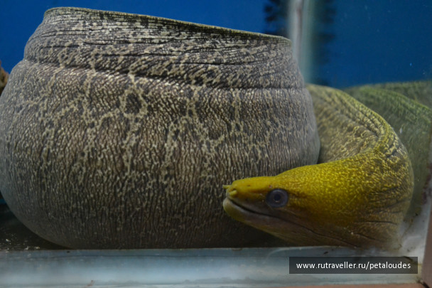 photo 348655