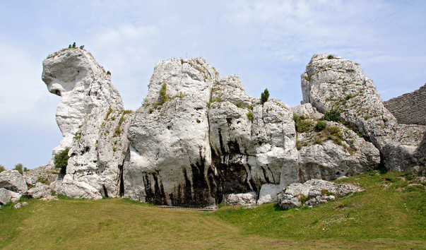 Zamek Ogrodzieniec