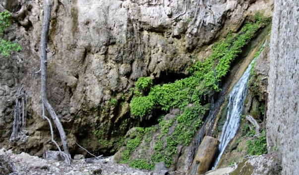 Petaloudes