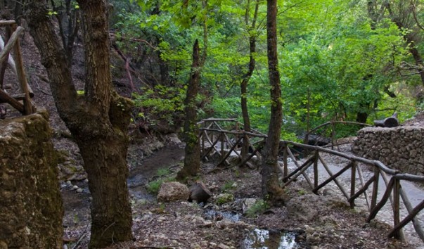 Petaloudes