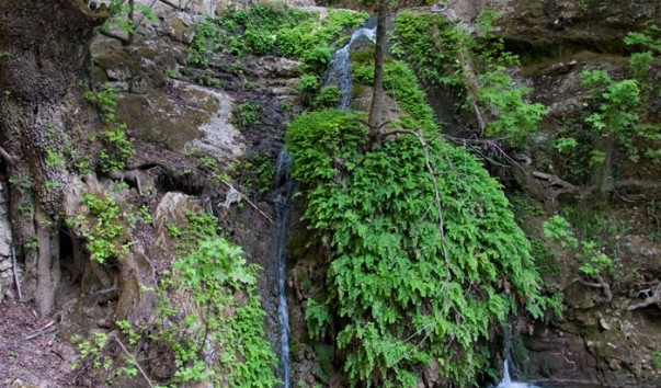Petaloudes