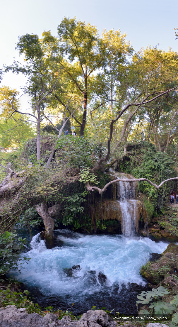 photo 1453737