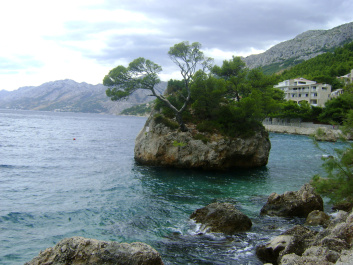 photo 201208