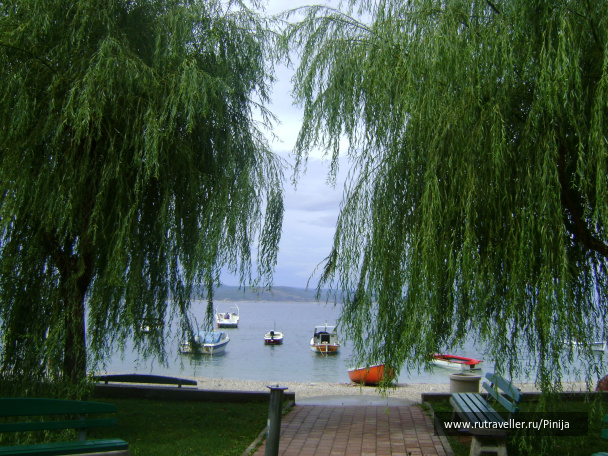 photo 201215