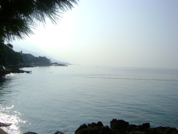 photo 216862