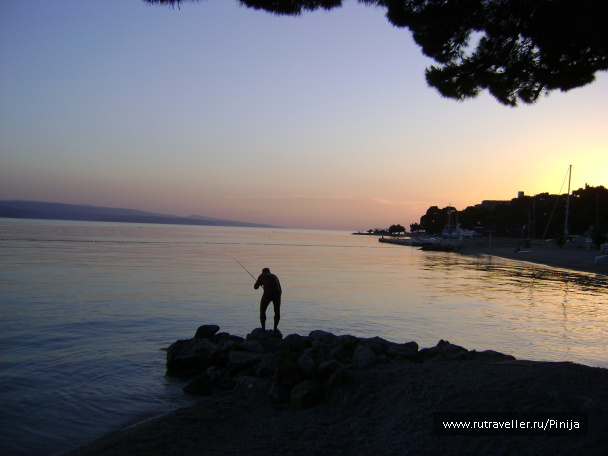 photo 217260