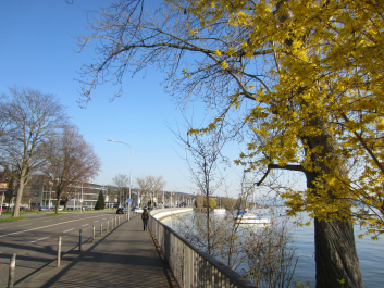 photo 697743