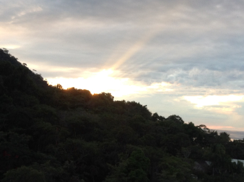 photo 646383