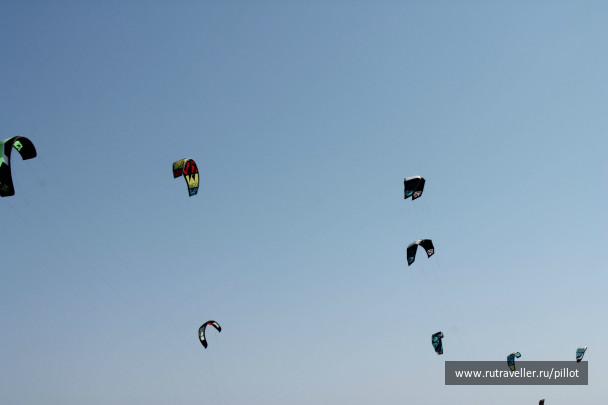 photo 209907