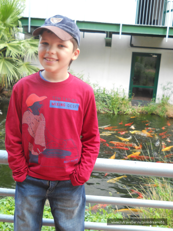 photo 657797