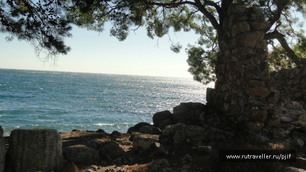 photo 941881