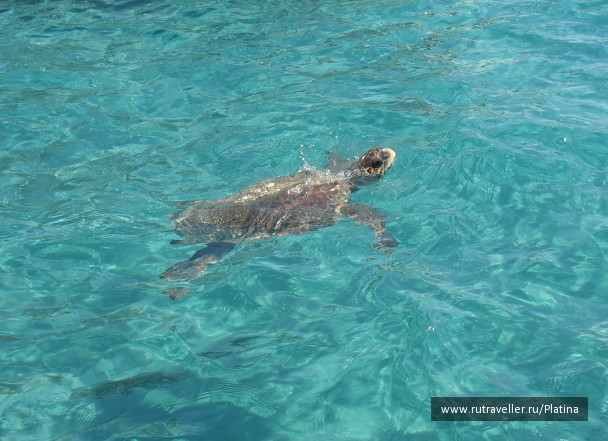 photo 7066