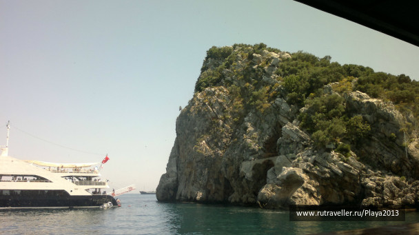 photo 269695