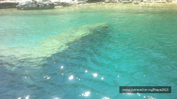 photo 287291