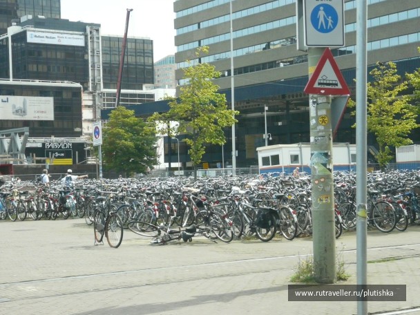 photo 6174