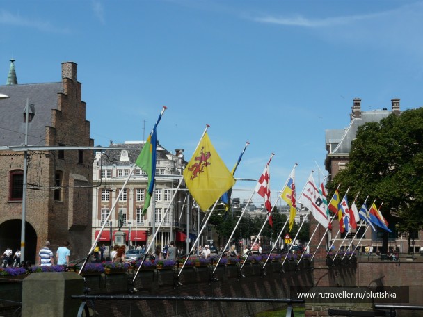photo 6177
