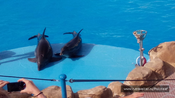 photo 1569566