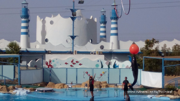 photo 1569569
