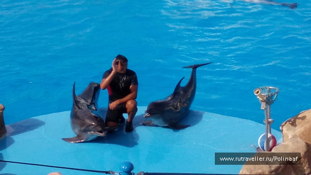 photo 1569573