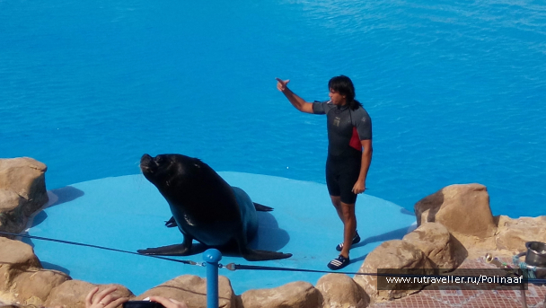 photo 1569587
