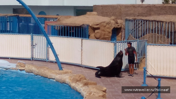 photo 1569588
