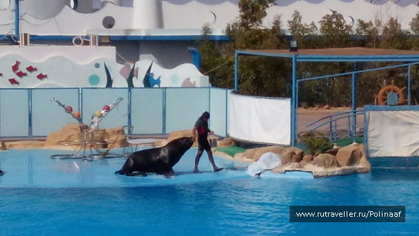 photo 1569589